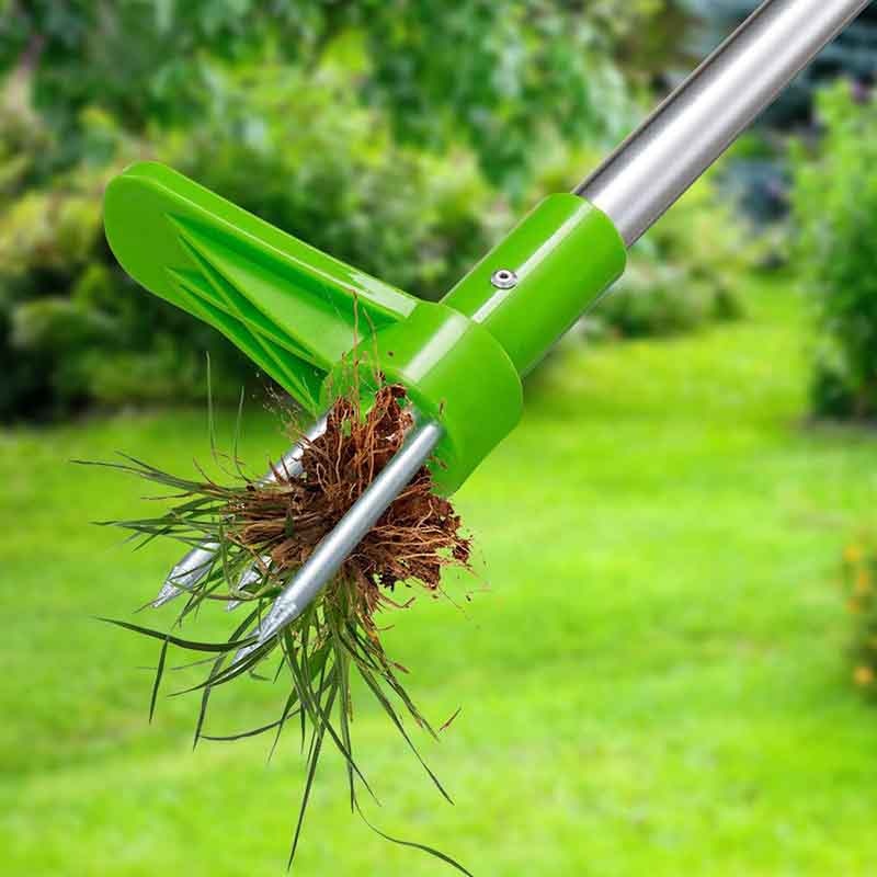 Long Handle Outdoor Weed Remover