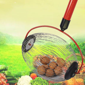 Rolling Nut Harvester And Ball Collector